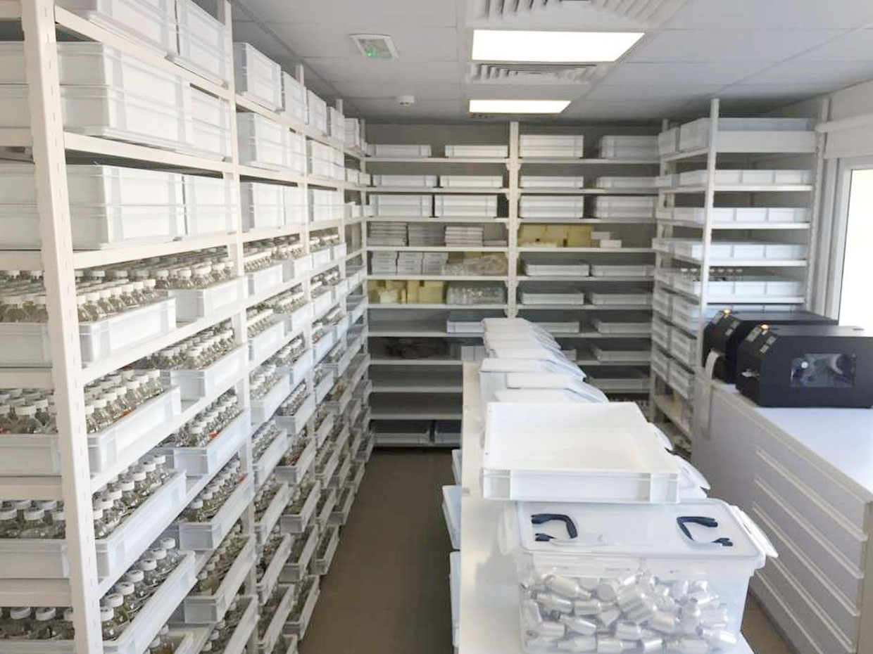 Steel Fabrication & Installation in UAE - F A Y M A Technical Services LLC